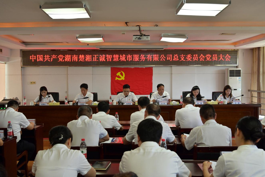 公司黨總支及所屬基層黨組織 順利完成換屆選舉工作